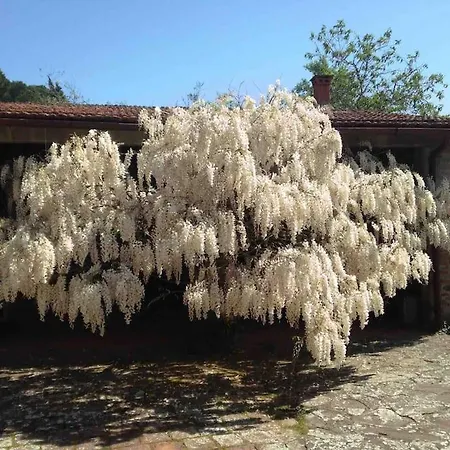 Villa Podere Solatio - Tuscany Hills Next To Florence *