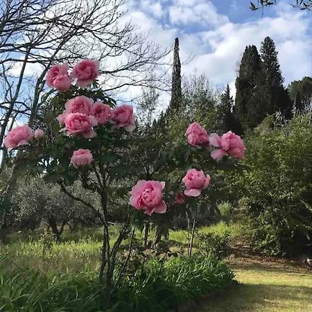 Villa Podere Solatio - Tuscany Hills Next To Florence Impruneta